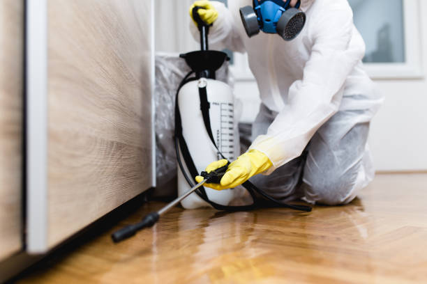 Best Mosquito Control Services  in Avis, PA