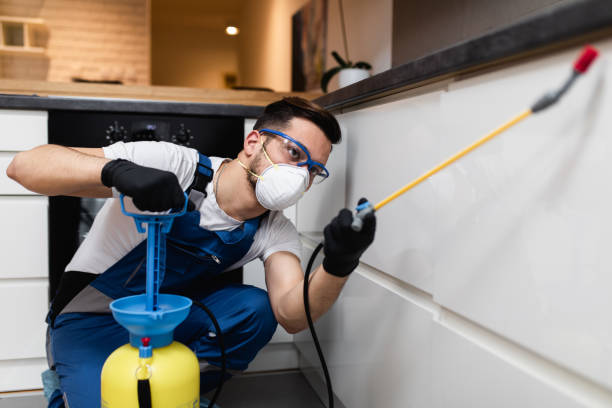 Best Emergency Pest Control  in Avis, PA