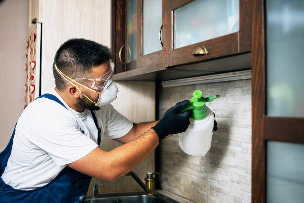 Best Local Pest Control Services  in Avis, PA