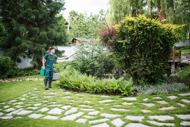 Best Exterminator Services  in Avis, PA