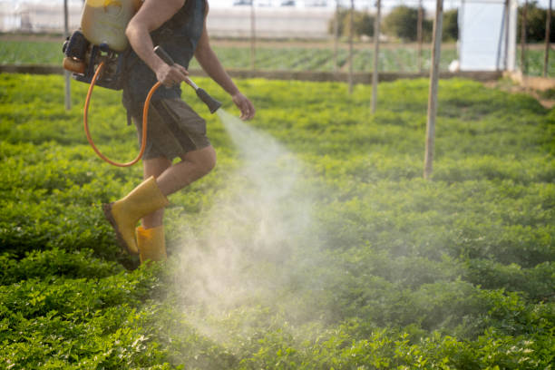 Best Pest Prevention Services  in Avis, PA