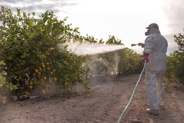Best Commercial Pest Control Services  in Avis, PA