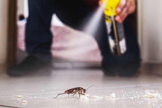 Flea Control Services in Avis, PA