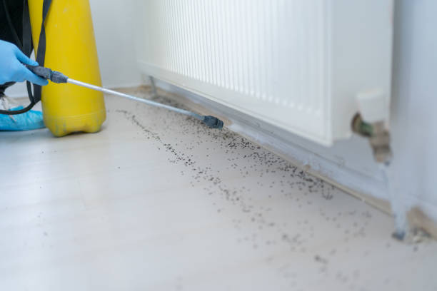 Best Pest Control for Restaurants  in Avis, PA