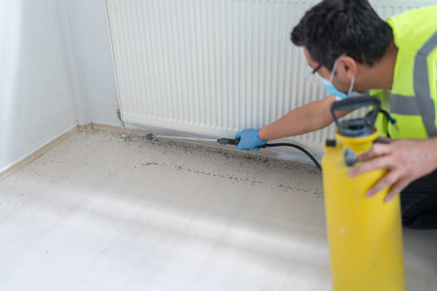 Best Best Pest Control Companies  in Avis, PA